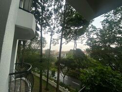 Tanglin Park (D10), Condominium #450966351